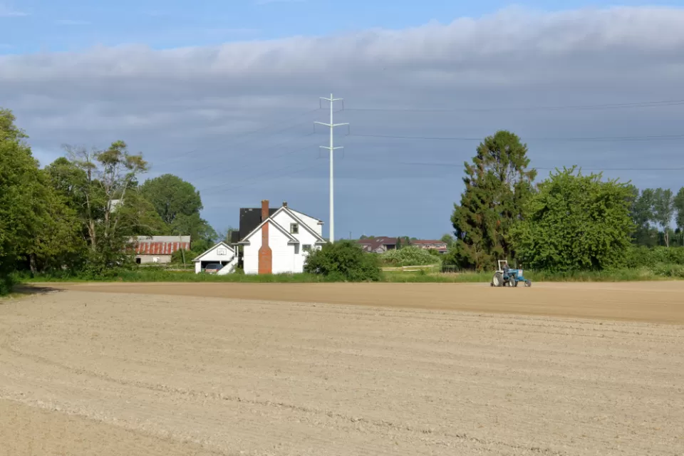 Agricultural Land